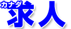 カナダ求人・カナダ求職・カナダ仕事探しに最適なJPカナダ掲示板